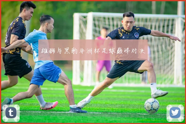 雄狮与黑豹非洲杯足球巅峰对决