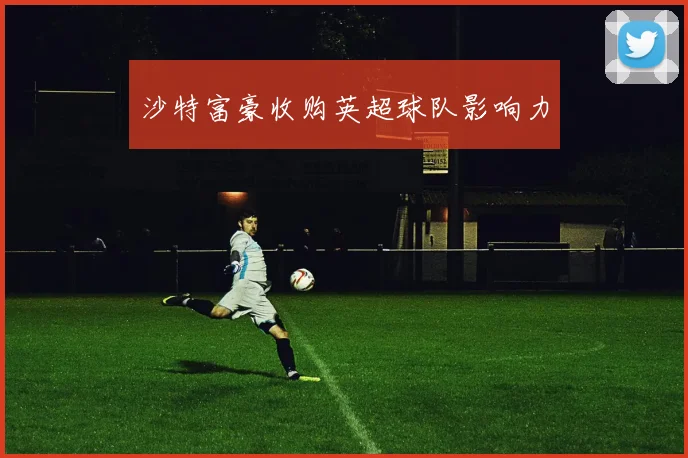 沙特富豪收购英超球队影响力