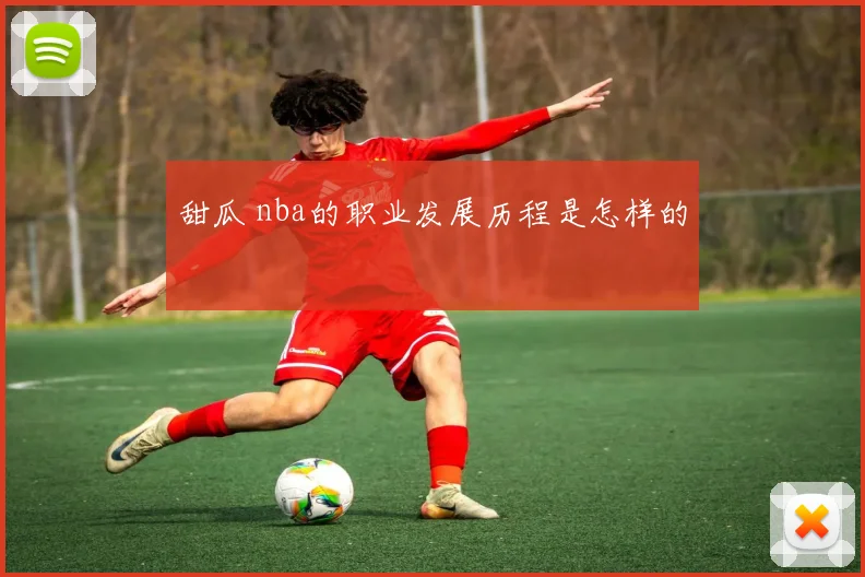 甜瓜 nba的职业发展历程是怎样的