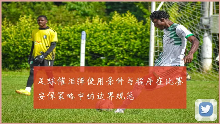 足球催泪弹使用条件与程序在比赛安保策略中的边界规范
