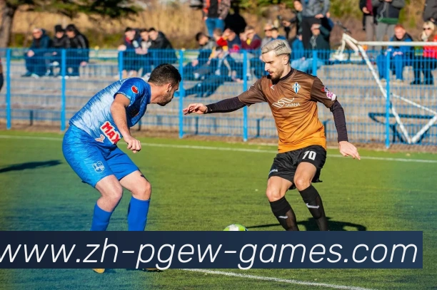 PG电子官方网站平台生态图