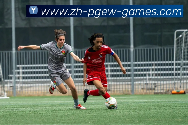 辅助工具 辅助工具